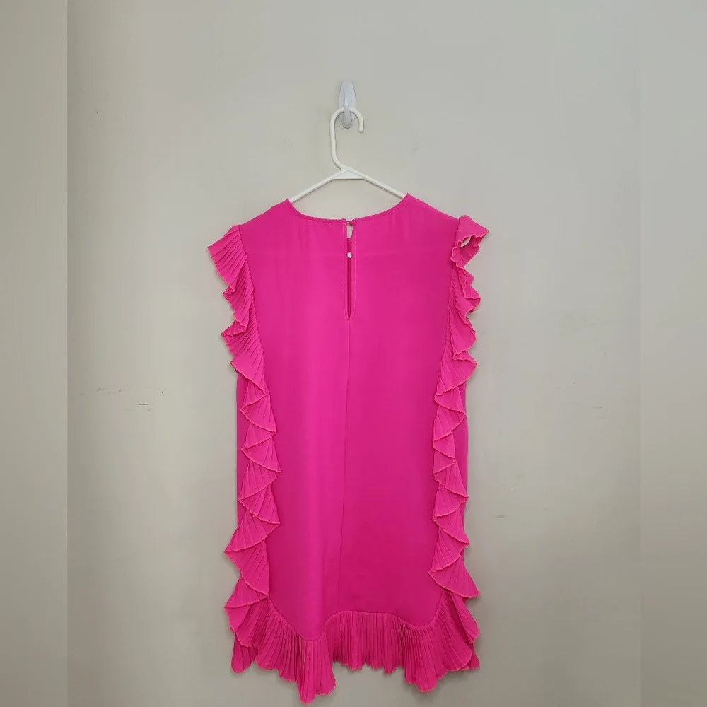 TCEC Pink Ruffle Dress - Picture 5 of 10